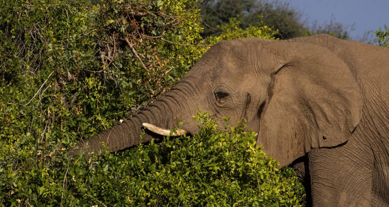 Explore 34-day Zanzibar to Cape Town (Accommodated) for 34 days with Acacia Adventure Holidays and discover unforgettable experiences - Photo 2