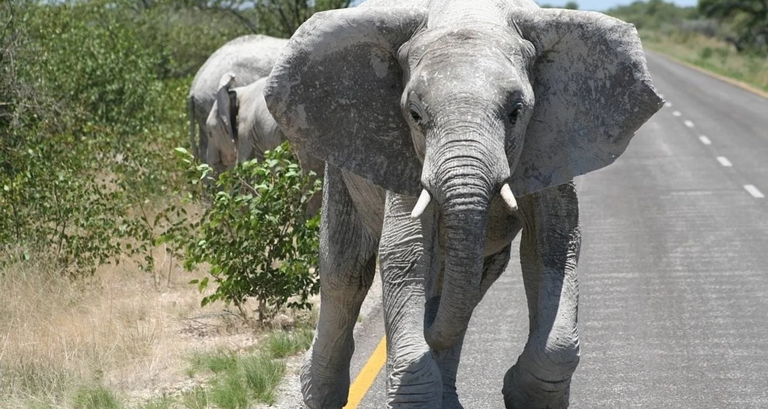 Explore 11-day Zanzibar to Serengeti (Camping) for 11 days with Acacia Adventure Holidays and discover unforgettable experiences - Photo 2
