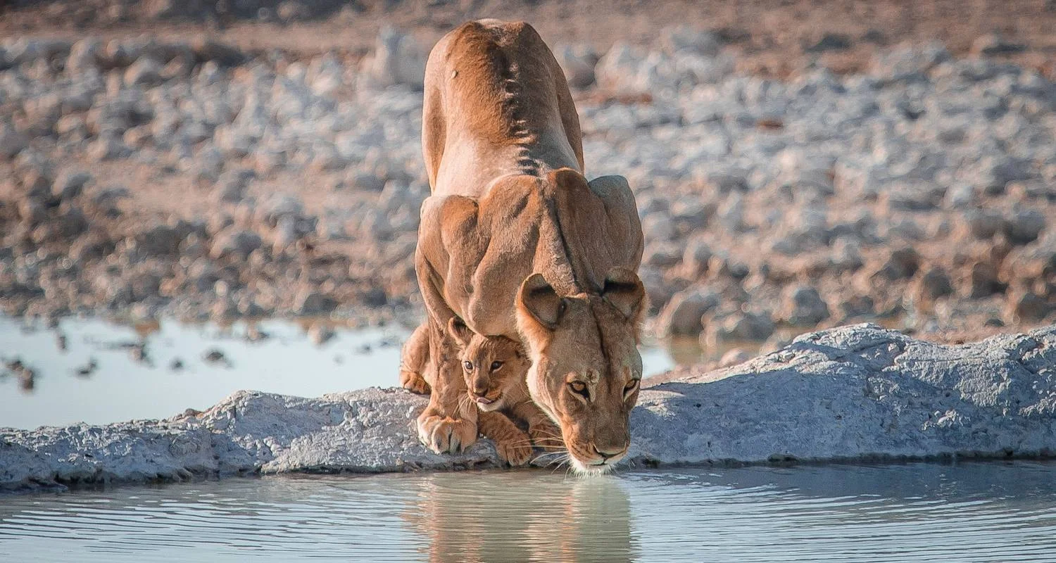 Explore 13-day Kenya & Tanzania Adventure (Camping) for 13 days with Acacia Adventure Holidays and discover unforgettable experiences - Photo 2