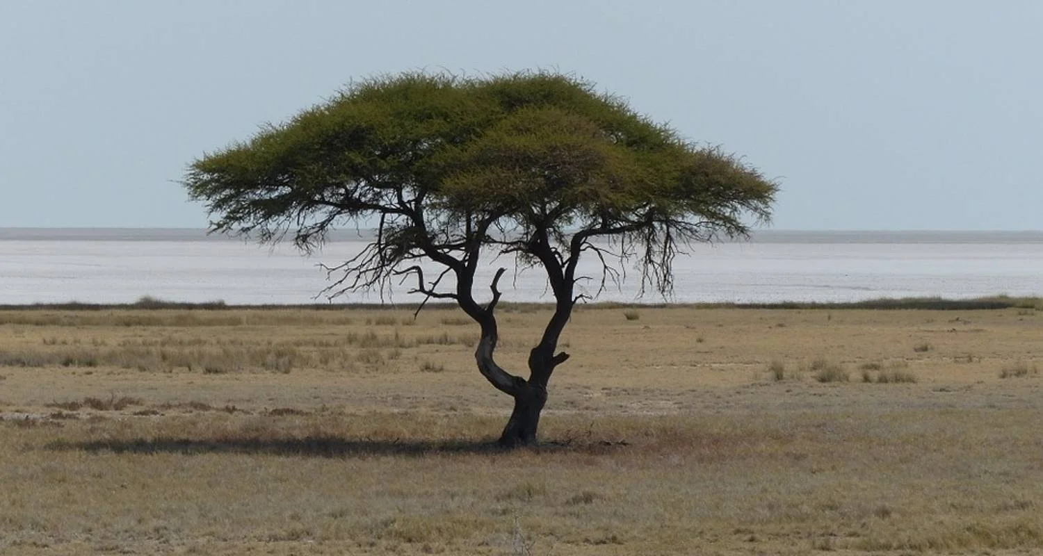 Explore 7-day Victoria Falls to Kruger (Camping) for 7 days with Acacia Adventure Holidays and discover unforgettable experiences - Photo 2