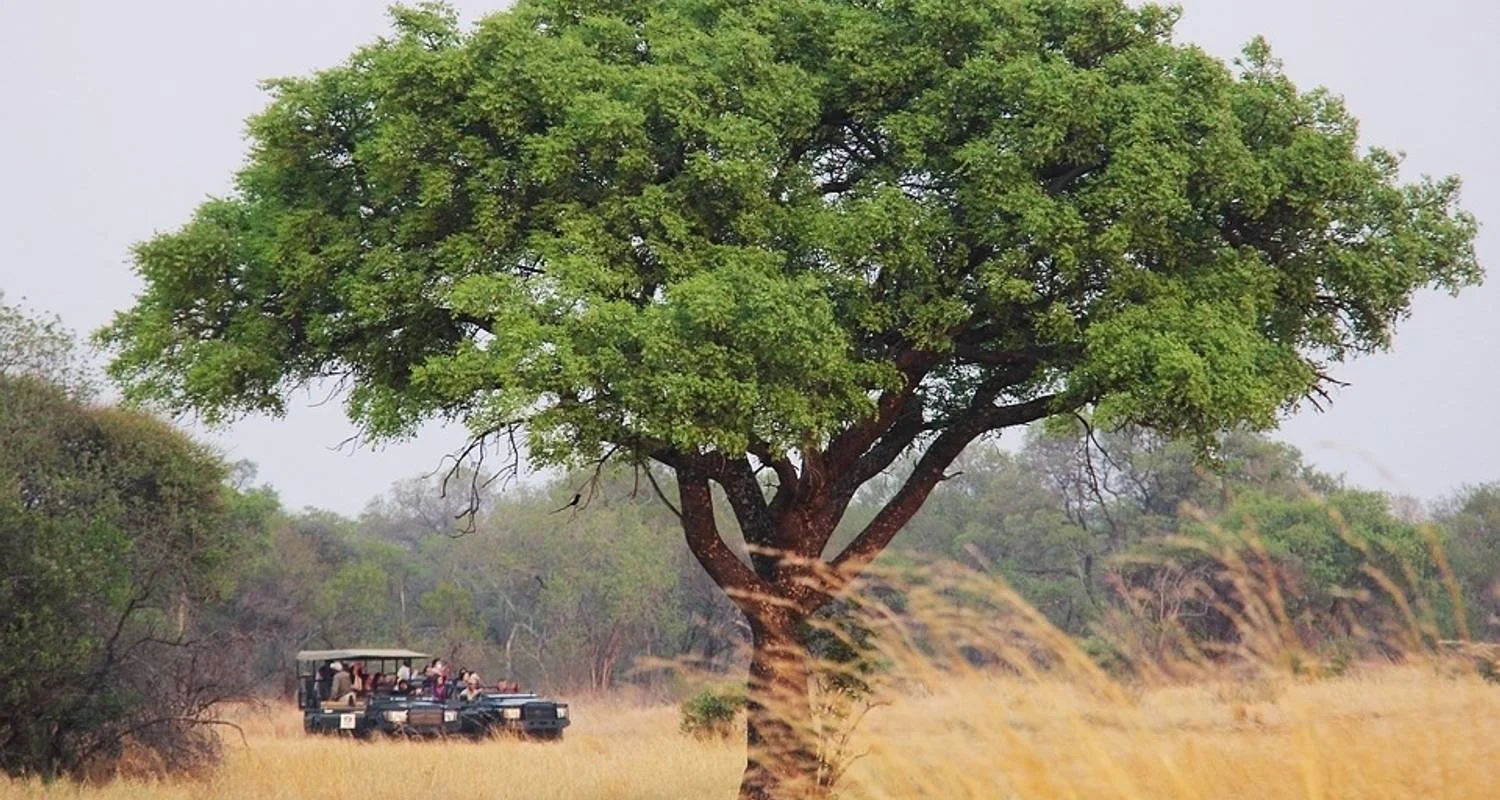 Explore 6-day Kruger, Swazi & Wild Coast (Accommodated) for 6 days with Acacia Adventure Holidays and discover unforgettable experiences - Photo 2