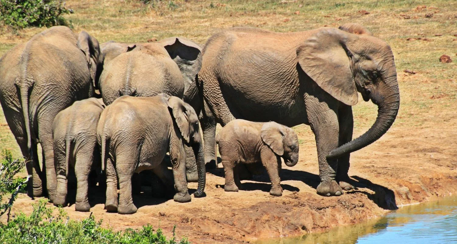 Explore 14-day Mozambique and Zimbabwe Explorer (Camping) for 14 days with Acacia Adventure Holidays and discover unforgettable experiences - Photo 2