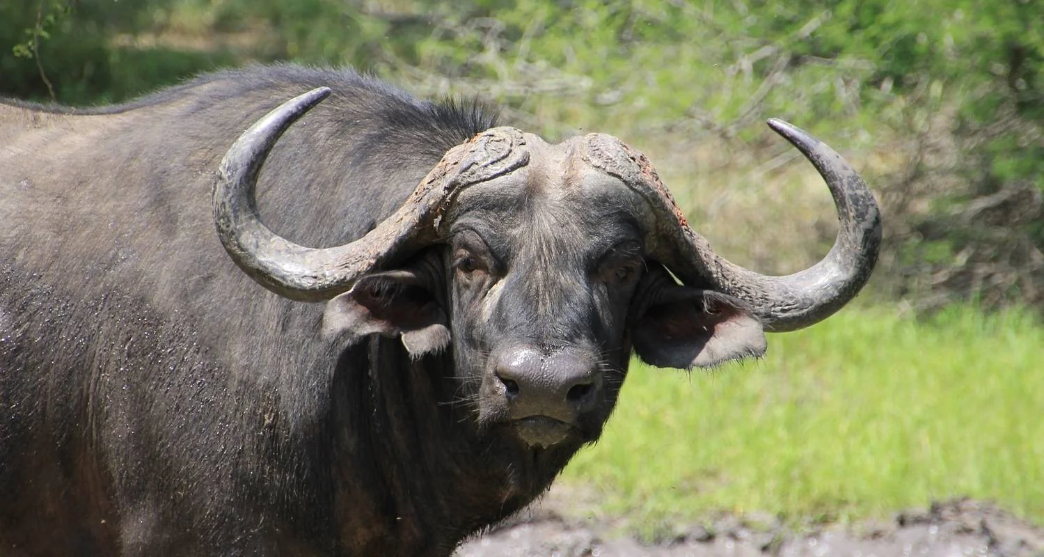 Explore 23-day Kruger, Victoria Falls & Zanzibar (Camping) for 23 days with Acacia Adventure Holidays and discover unforgettable experiences - Photo 2
