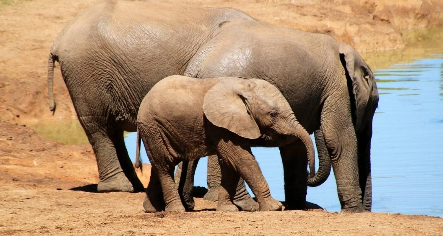 Explore 9-day Victoria Falls & Okavango Wilderness Trail (Accommodated) for 9 days with Acacia Adventure Holidays and discover unforgettable experiences - Photo 2