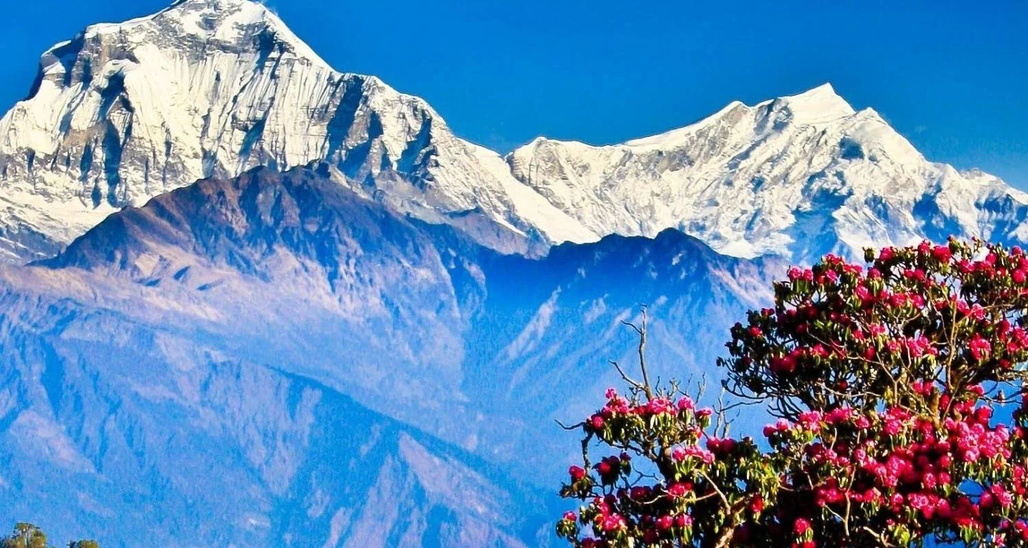 Explore Langtang Gosaikunda Trek for 15 days with Accessible Adventure Pvt. Ltd and discover unforgettable experiences - Photo 2