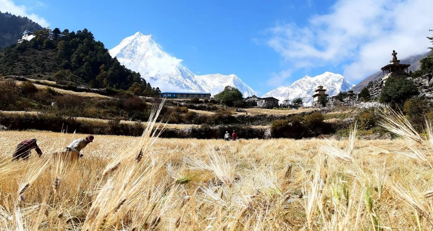 Explore Manaslu Circuit Trek for 15 days with Ace the Himalaya and discover unforgettable experiences - Photo 2