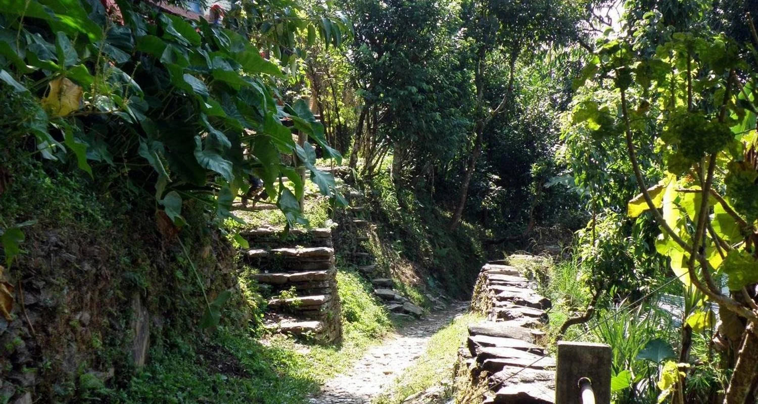 Explore Glimpse of Nepal for 8 days with Ace the Himalaya and discover unforgettable experiences - Photo 2