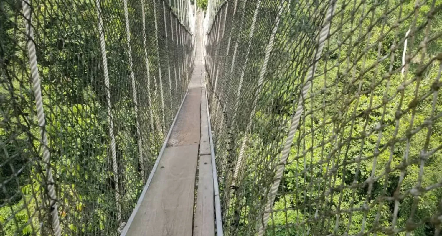 Explore Mega Festival 21-Day Tour of Ghana, Togo, and Benin. for 21 days with Across Africa Tours & Travel and discover unforgettable experiences - Photo 2