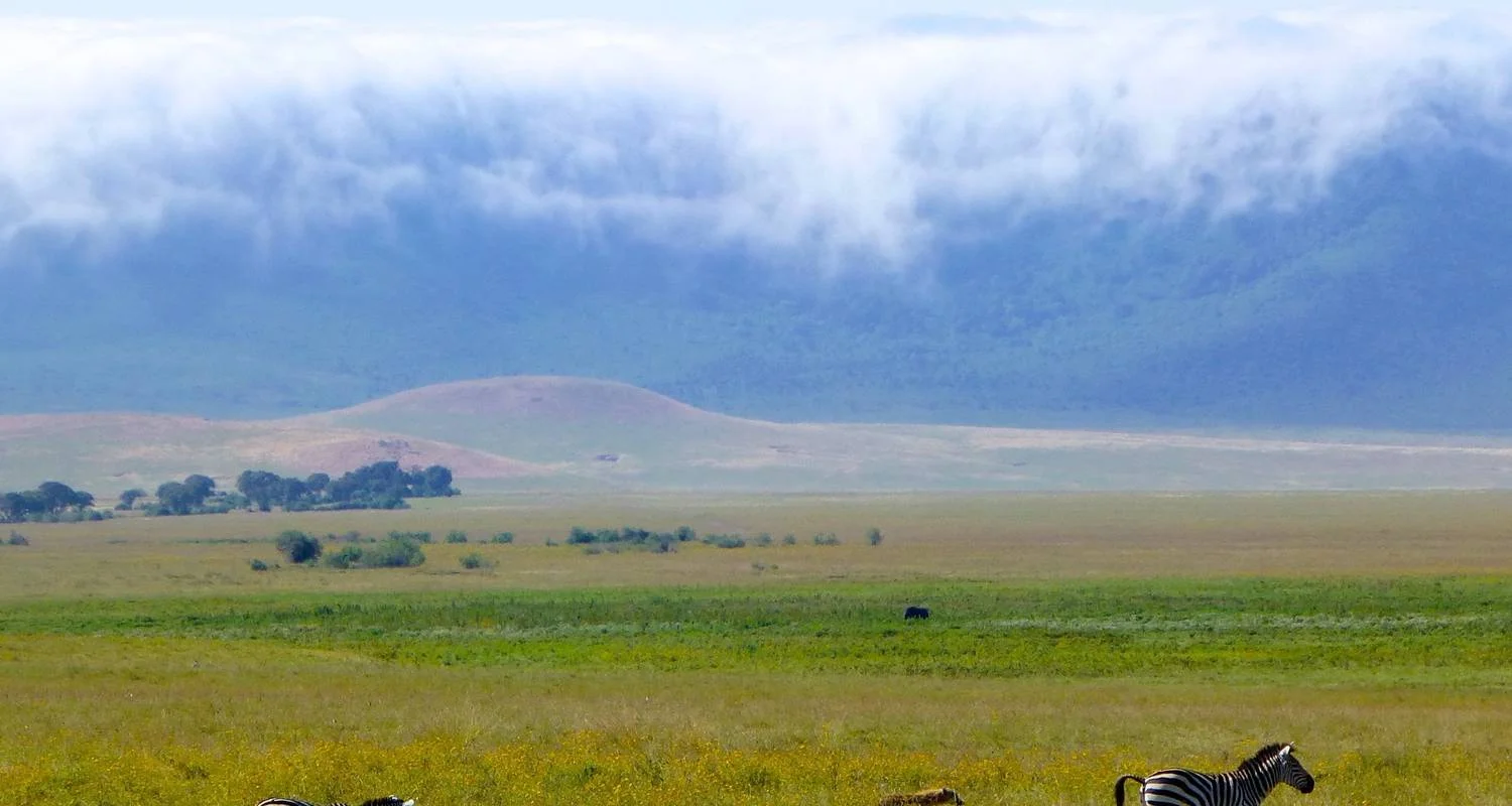 Explore Tanzania & Zanzibar Honeymoon Safari 11 Days/10Nights for 11 days with Across Africa Tours & Travel and discover unforgettable experiences - Photo 2