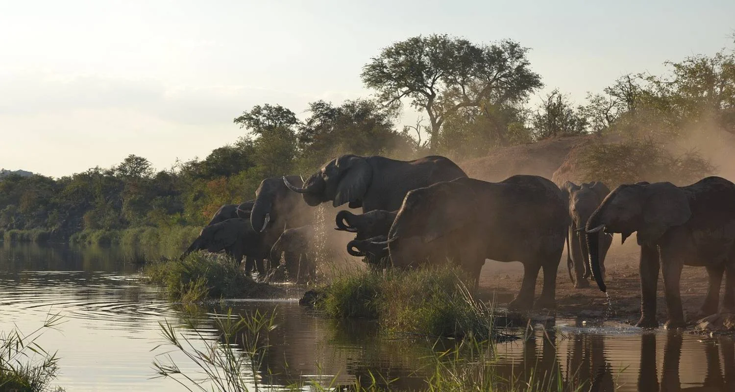 Explore Ultimate South Africa Golf and Safari Adventure 12 Days /11 Nights for 12 days with Across Africa Tours & Travel and discover unforgettable experiences - Photo 2