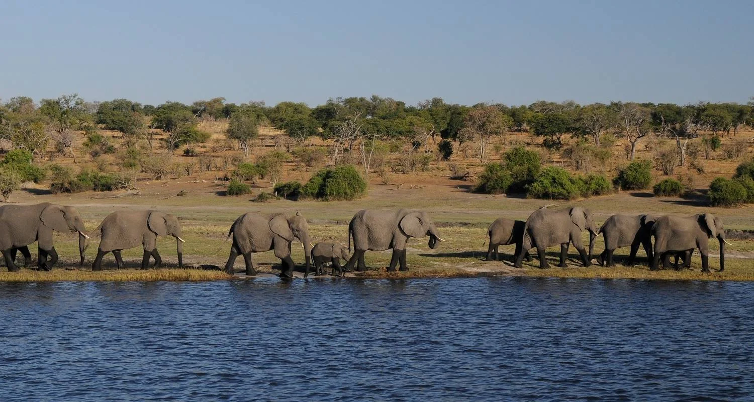 Explore 6 Days 5 Nights Best of Zimbabwe  (Comfort) for 6 days with Across Africa Tours & Travel and discover unforgettable experiences - Photo 2