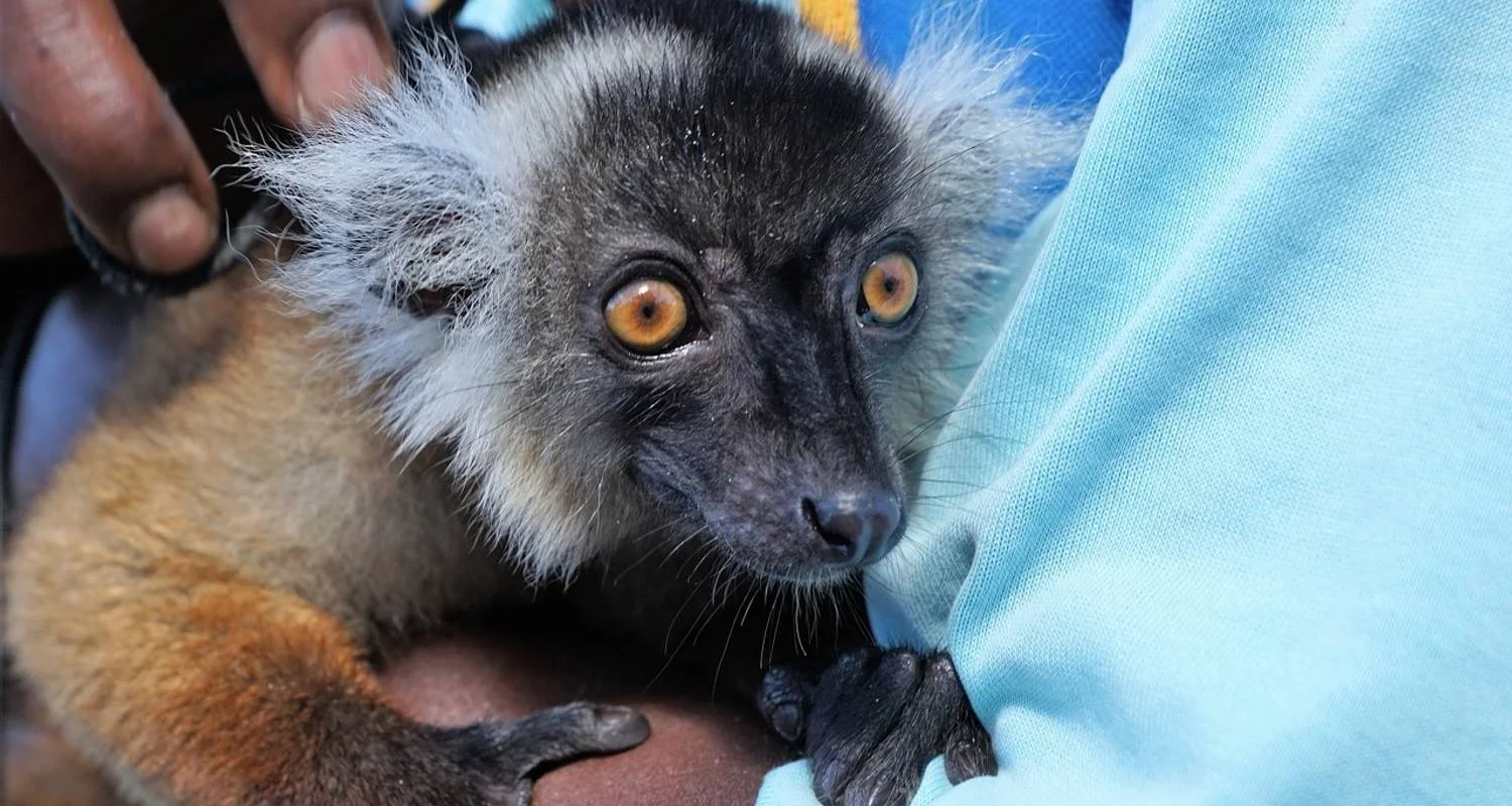 Explore Madagascar Nosy Be Experience for 6 Days/5 Nights for 6 days with Across Africa Tours & Travel and discover unforgettable experiences - Photo 2