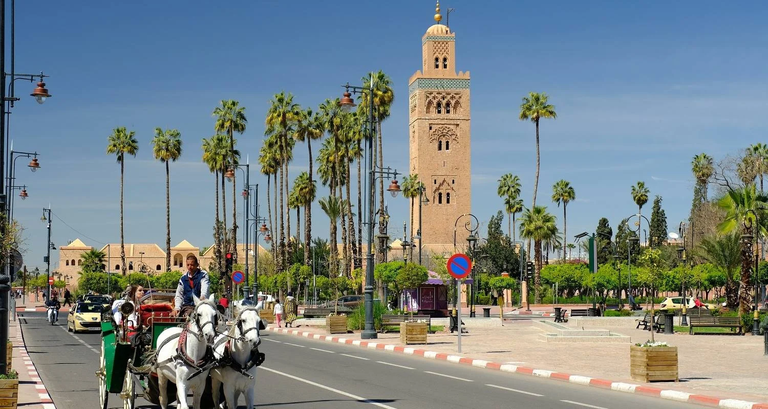 Explore Morocco Discovery from Marrakech 7 Days 6 Nights for 7 days with Across Africa Tours & Travel and discover unforgettable experiences - Photo 2