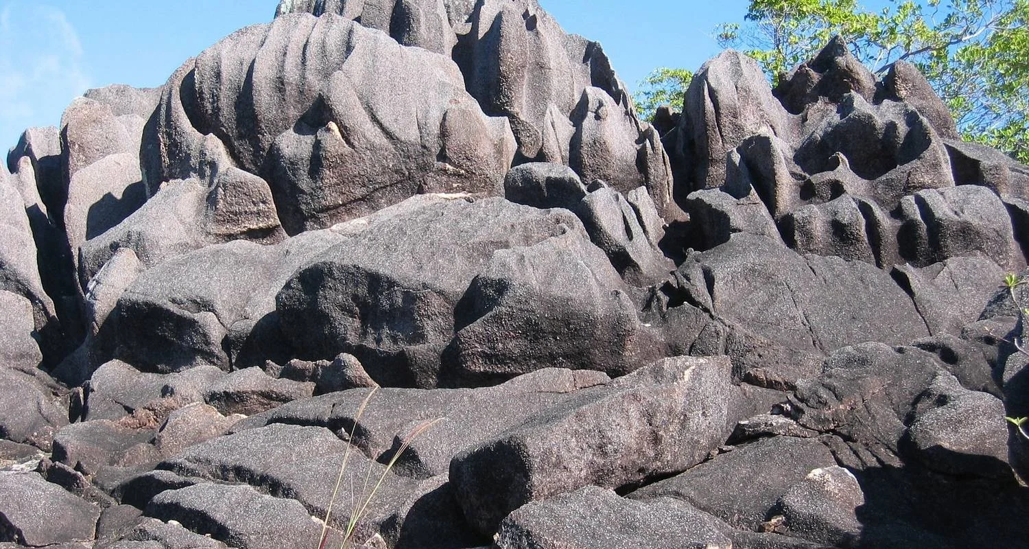 Explore Seychelles Family Holiday Package 7D/6N for 7 days with Across Africa Tours & Travel and discover unforgettable experiences - Photo 2
