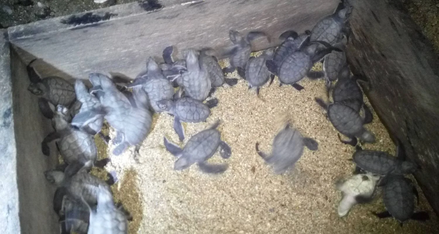 Explore 5 Days/ 4Nights São Tomé Adventure for 5 days with Across Africa Tours & Travel and discover unforgettable experiences - Photo 2