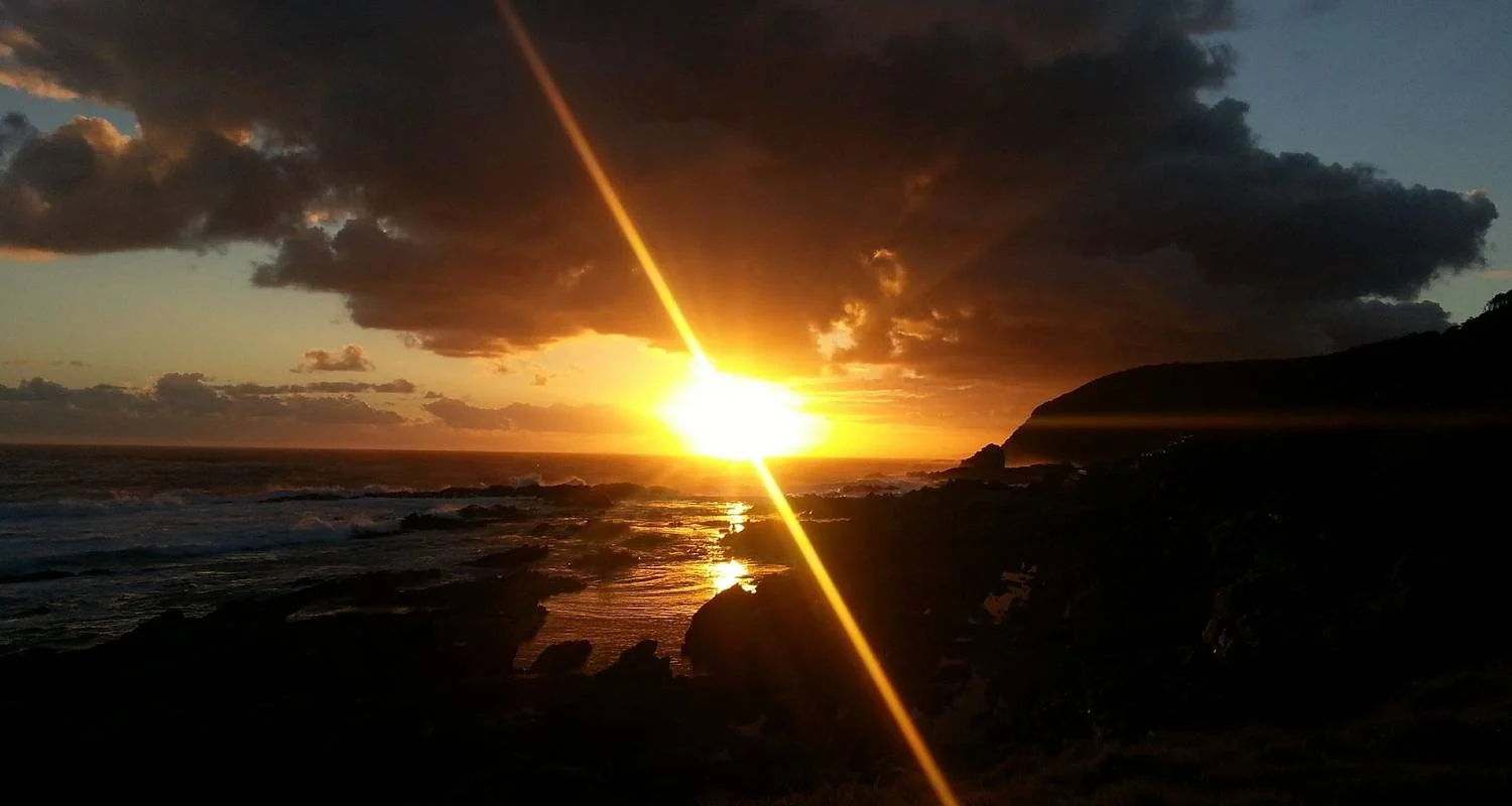 Explore Garden Route & Addo Adventure 9 Days/ 8 Nights ( Comfort) for 9 days with Across Africa Tours & Travel and discover unforgettable experiences - Photo 2