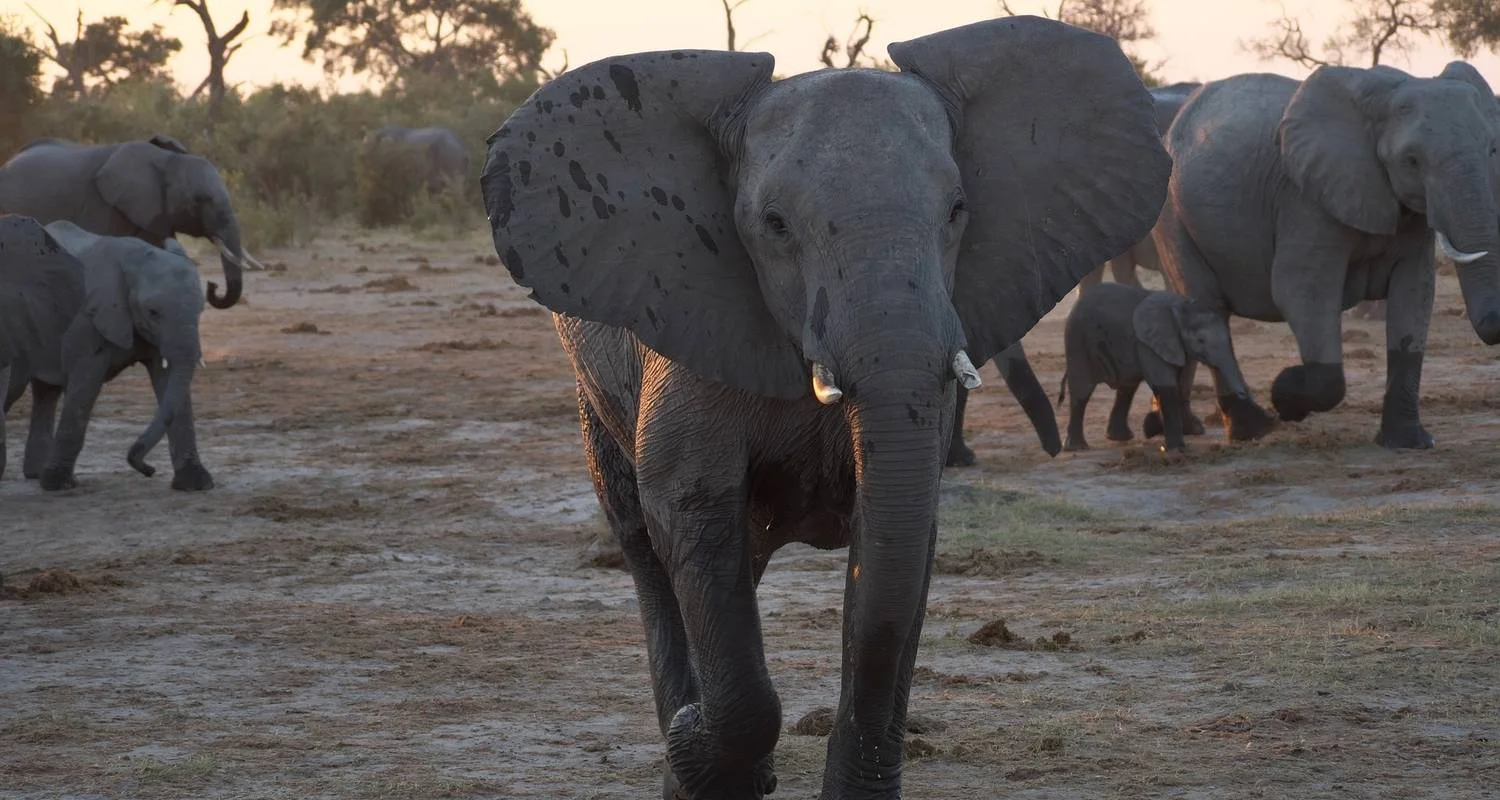 Explore Thula Thula Game Reserve Experience 4Day/3nights ( Comfort) for 4 days with Across Africa Tours & Travel and discover unforgettable experiences - Photo 2
