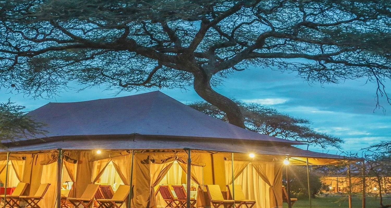 Explore 4 Days Rift Valley Wildlife Safari - Small Group for 4 days with Adventure Makers Tanzania and discover unforgettable experiences - Photo 2