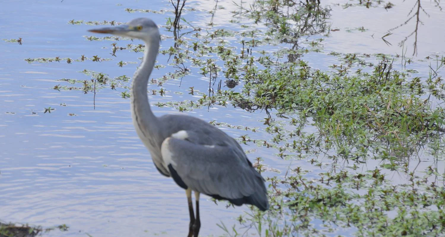 Explore Ngorongoro Crater Day Trip for 1 days with Adventure Makers Tanzania and discover unforgettable experiences - Photo 2