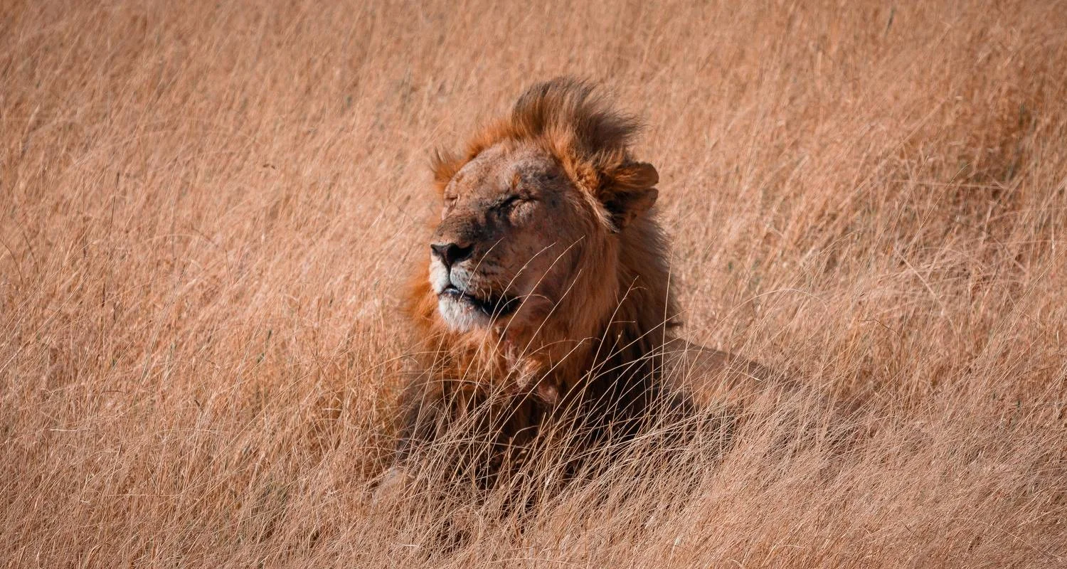 Explore Highlights of Zambia for 14 days with Adventure Purists Ltd. and discover unforgettable experiences - Photo 2