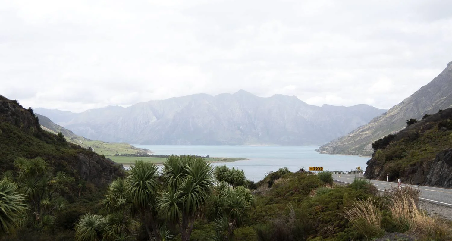 Explore Great West Coast Cycle for 8 days with Adventure South and discover unforgettable experiences - Photo 2