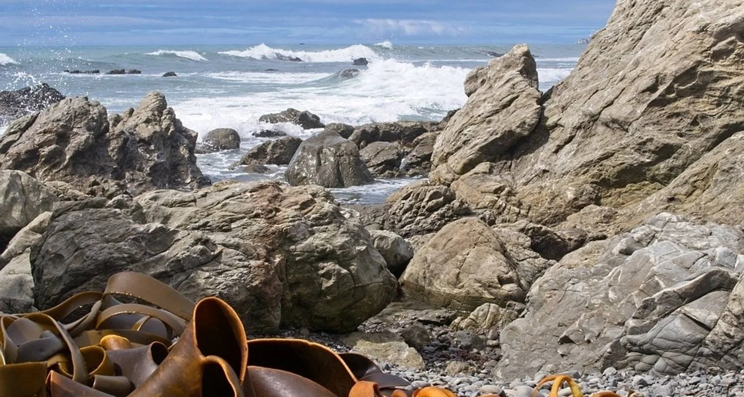 Explore Marlborough and West Coast Cycle for 7 days with Adventure South and discover unforgettable experiences - Photo 2