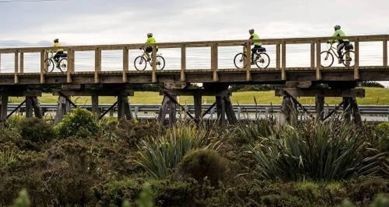 Explore West Coast Wilderness Cycle Trail for 5 days with Adventure South and discover unforgettable experiences - Photo 2