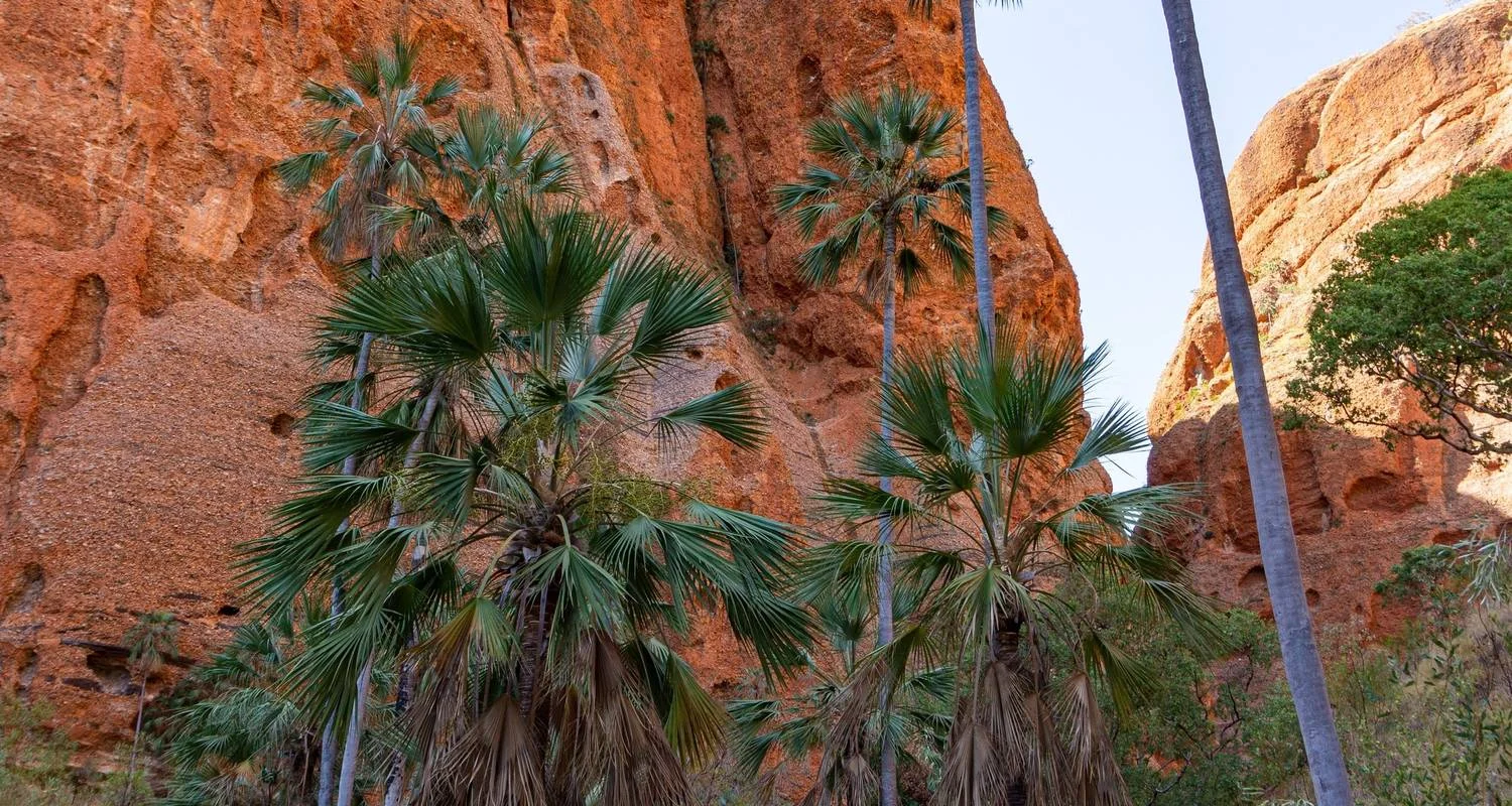 Explore Broome to Darwin 4WD Kimberley Adventure for 10 days with Adventure Tours Australia and discover unforgettable experiences - Photo 2
