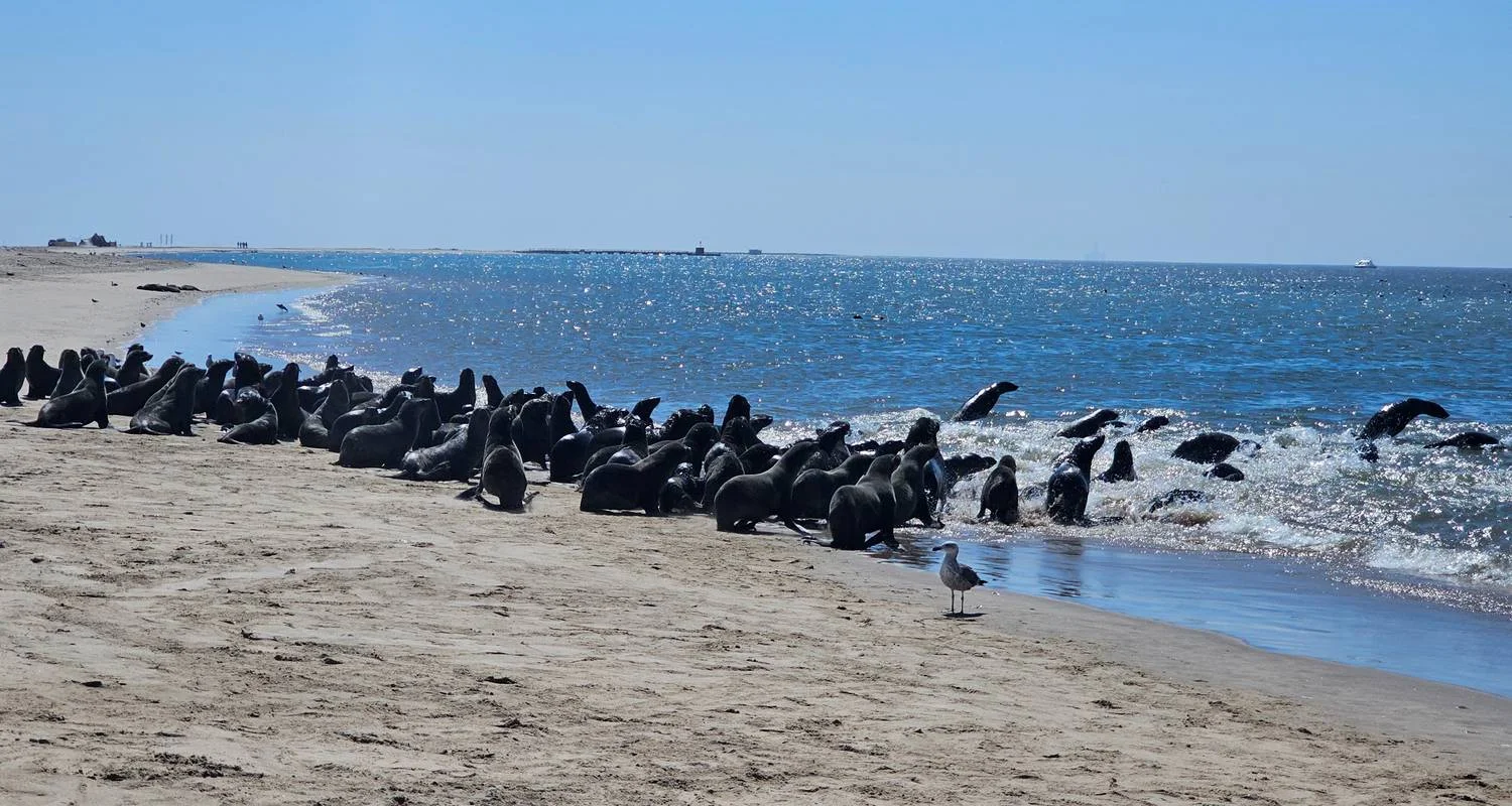 Explore 3 Day Namibia Tour from Johannesburg for 3 days with Africa Moja Tours & Transfers and discover unforgettable experiences - Photo 2