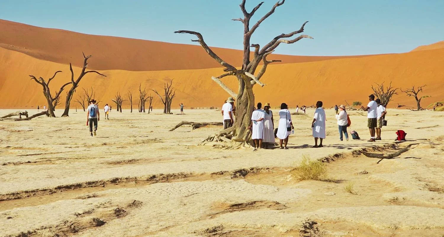 Explore 12 Days Wonders of Africa: Johannesburg, Walvis Bay, Victoria Falls, Cape Town, and Kruger National Park for 12 days with Africa Moja Tours & Transfers and discover unforgettable experiences - Photo 2