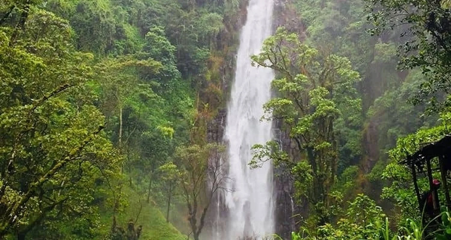 Explore Materuni waterfalls, coffee tour & kikuletwa hot springs for 1 days with Africa Outland Safaris and discover unforgettable experiences - Photo 2