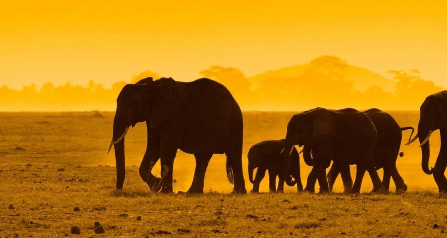 Explore 8 days Tanzania safaris in Tarangire, Serengeti, Ngorongoro, Lake Manyara National Park. for 8 days with Africa Outland Safaris and discover unforgettable experiences - Photo 2