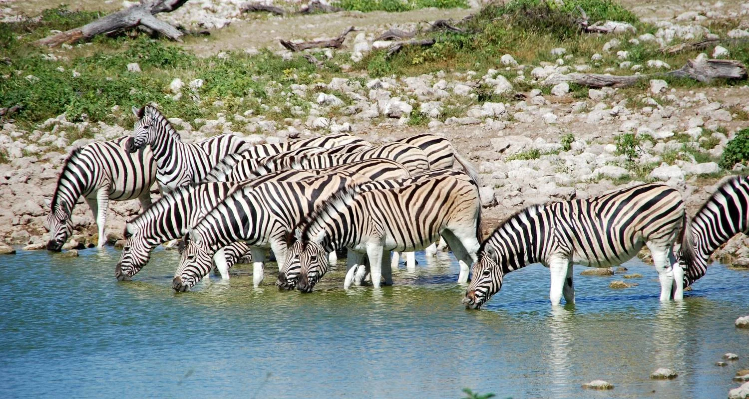 Explore 3 Days Oldoinyo Lengai climbing for 3 days with Africa Outland Safaris and discover unforgettable experiences - Photo 2