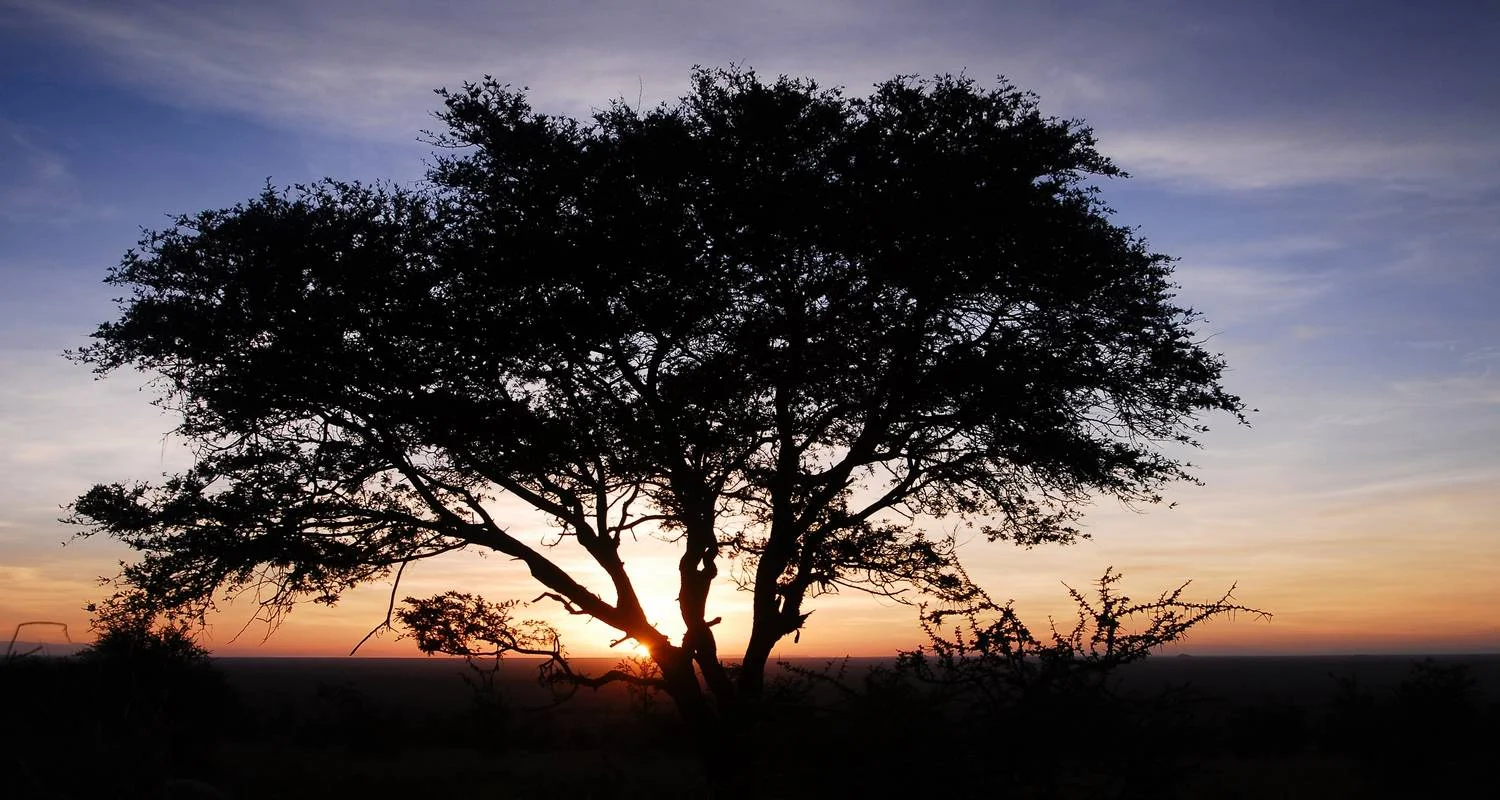 Explore six Days Big Five Safari for 6 days with Africa Outland Safaris and discover unforgettable experiences - Photo 2
