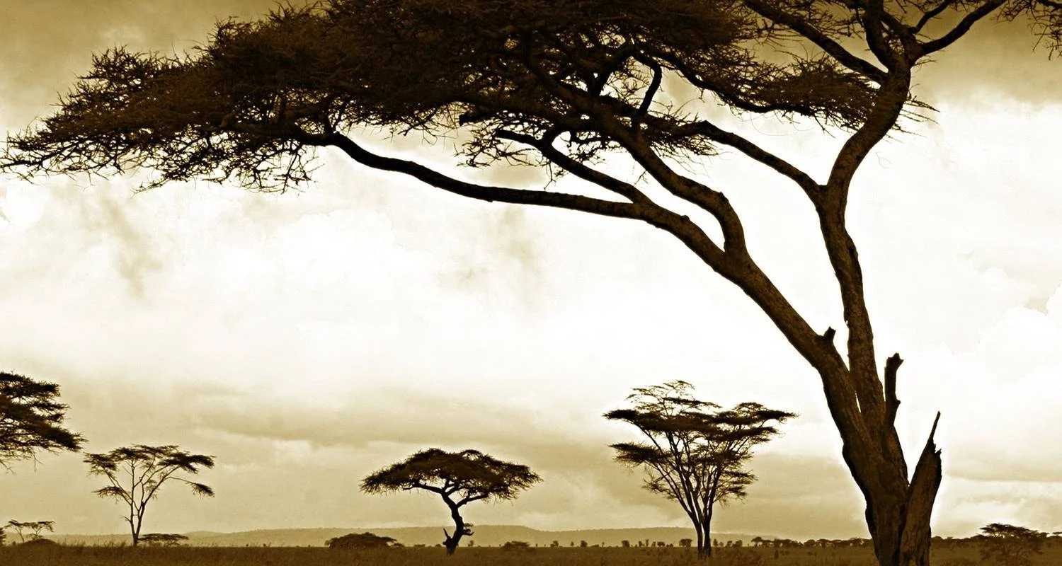 Explore 5 DAYS SERENGETI HOT AIR BALLOON SAFARI for 5 days with Africa Outland Safaris and discover unforgettable experiences - Photo 2