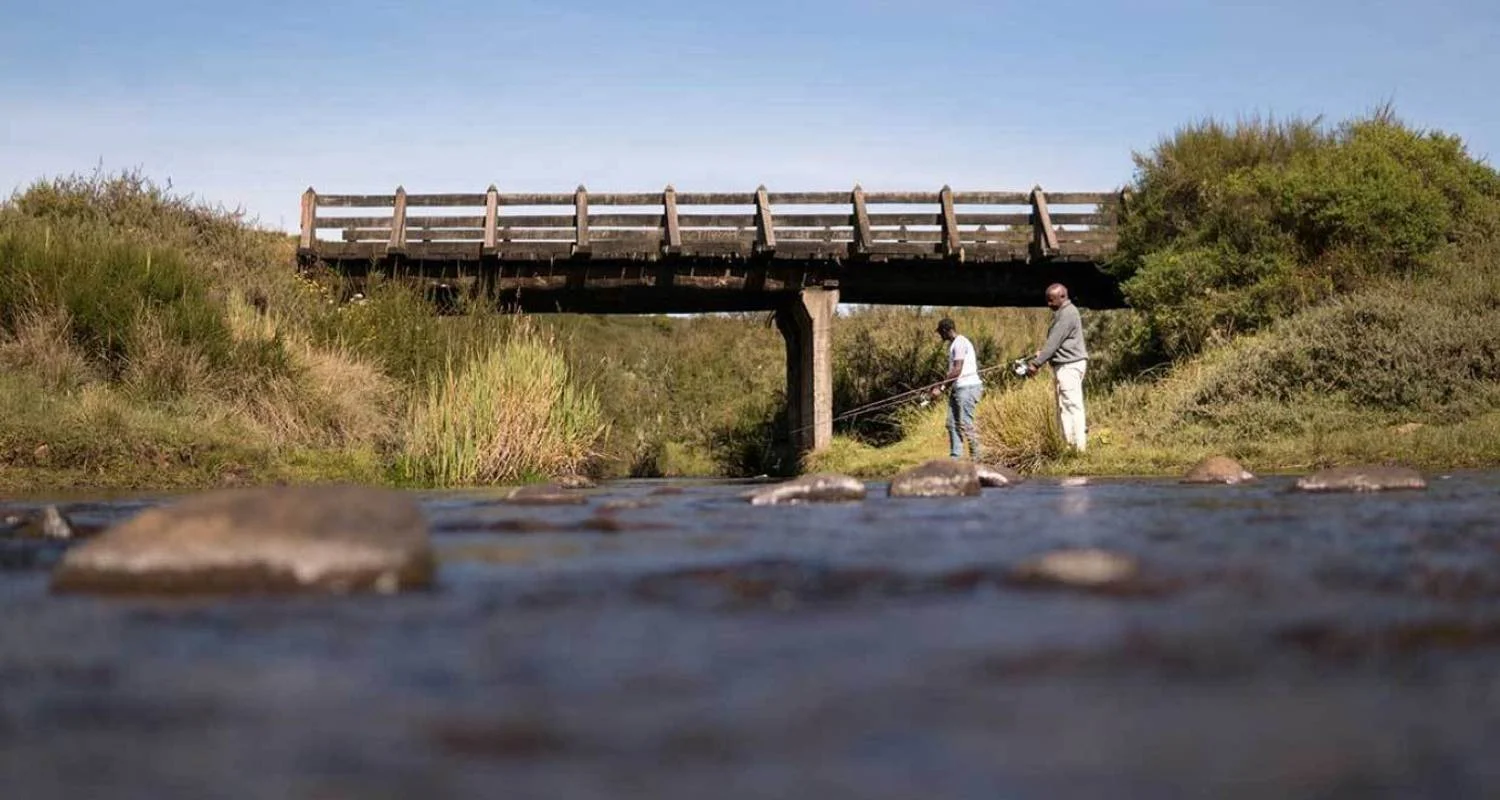 Explore 4 Days Whispers of the Wild | Scenic Splendor ( Aberdare National park) for 4 days with African Breeze Safaris and discover unforgettable experiences - Photo 2