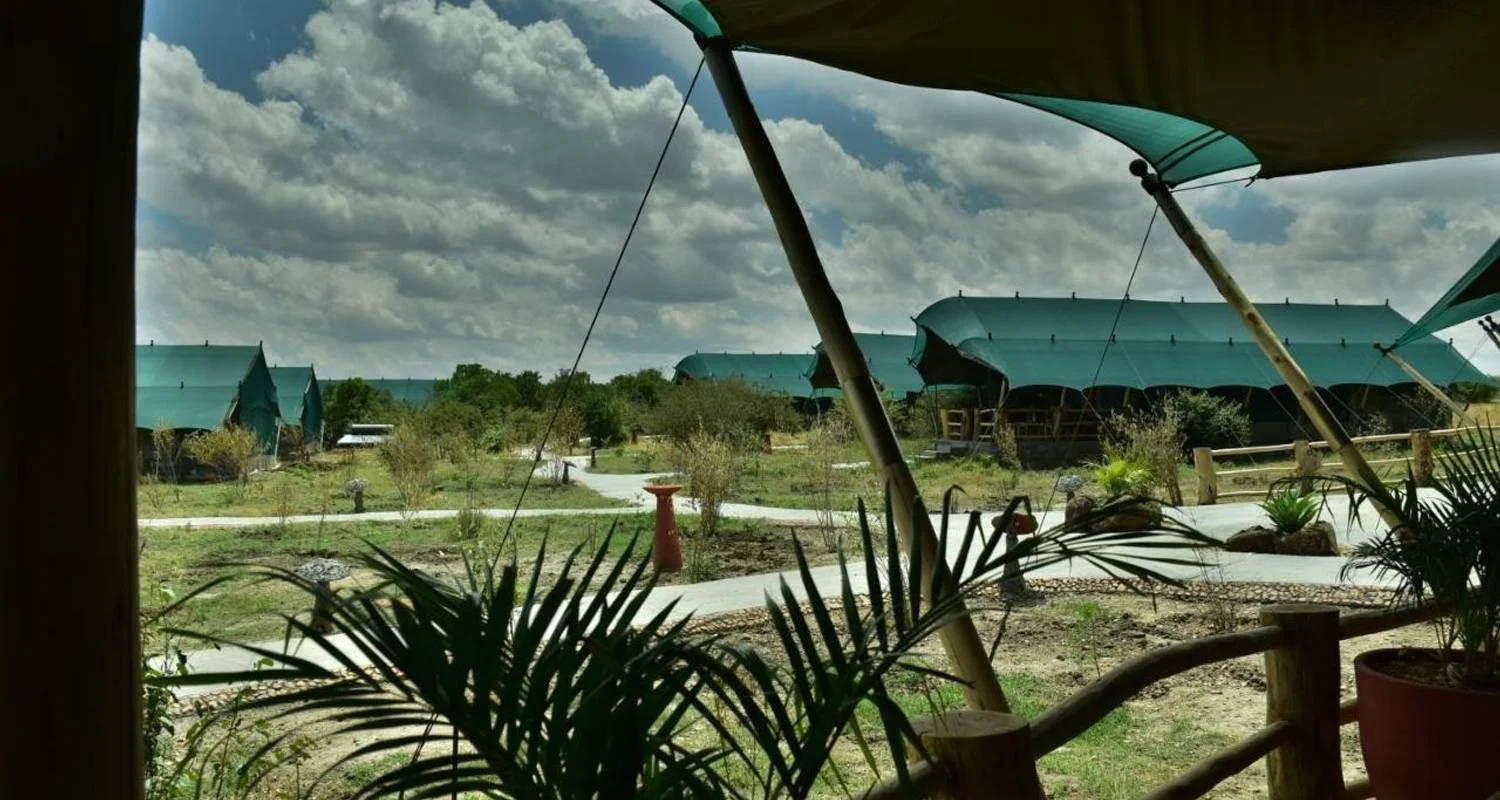 Explore 3 Days fly-in Masai Mara Safari for 3 days with African Breeze Safaris and discover unforgettable experiences - Photo 2