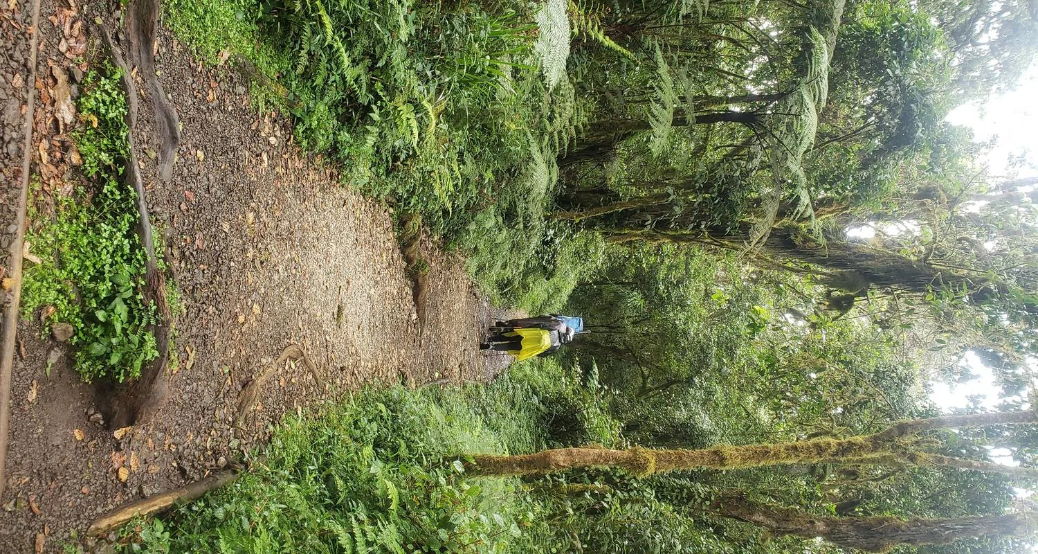 Explore Shira  Route - Hike Kilimanjaro in 1-day for 1 days with Africa Natural Tours and discover unforgettable experiences - Photo 2