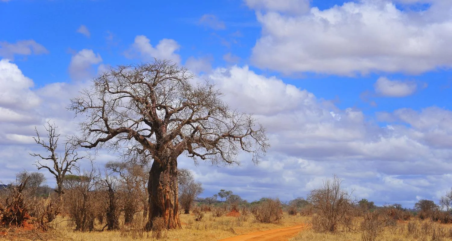 Explore 3-Days Tarangire & Ngorongoro Mid-Range Private Safari From & To Zanzibar for 3 days with African Polecat Safaris and discover unforgettable experiences - Photo 2