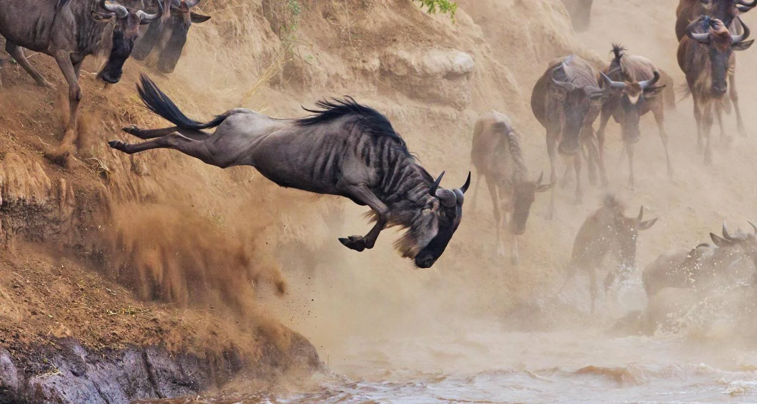 Explore 9-Days Private Safari visiting all National Parks luxury Tour for 9 days with African Polecat Safaris and discover unforgettable experiences - Photo 2