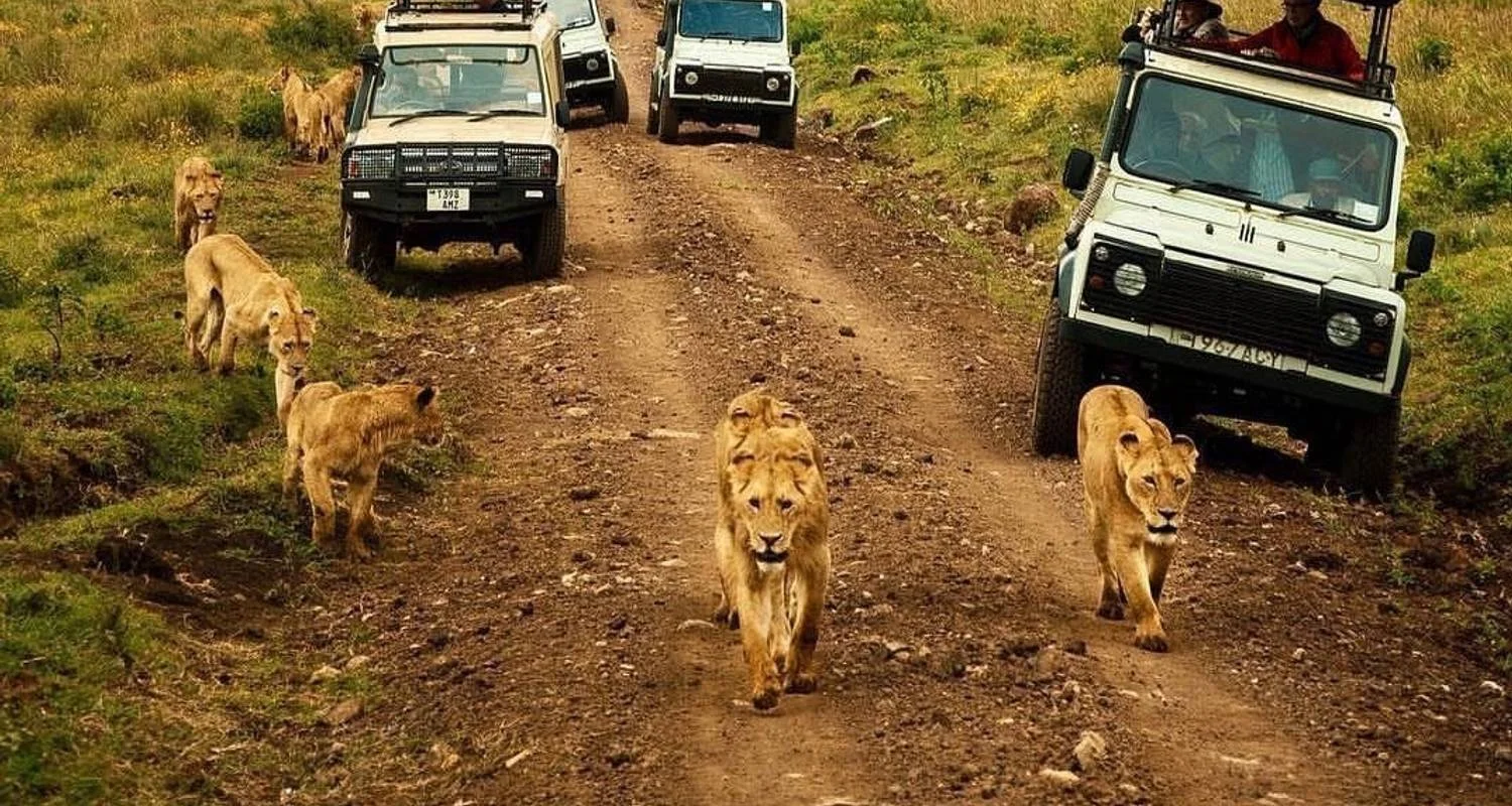 Explore 9-Days Budget safari in the wild including 2 nights in Serengeti and 3 days in Zanzibar. for 9 days with African Polecat Safaris and discover unforgettable experiences - Photo 2