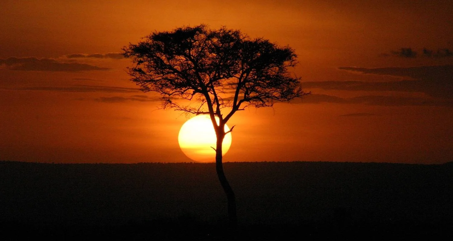 Explore 6 Day Camping safari in Northern Tanzania for 6 days with Afrishare Trekking And Safaris and discover unforgettable experiences - Photo 2