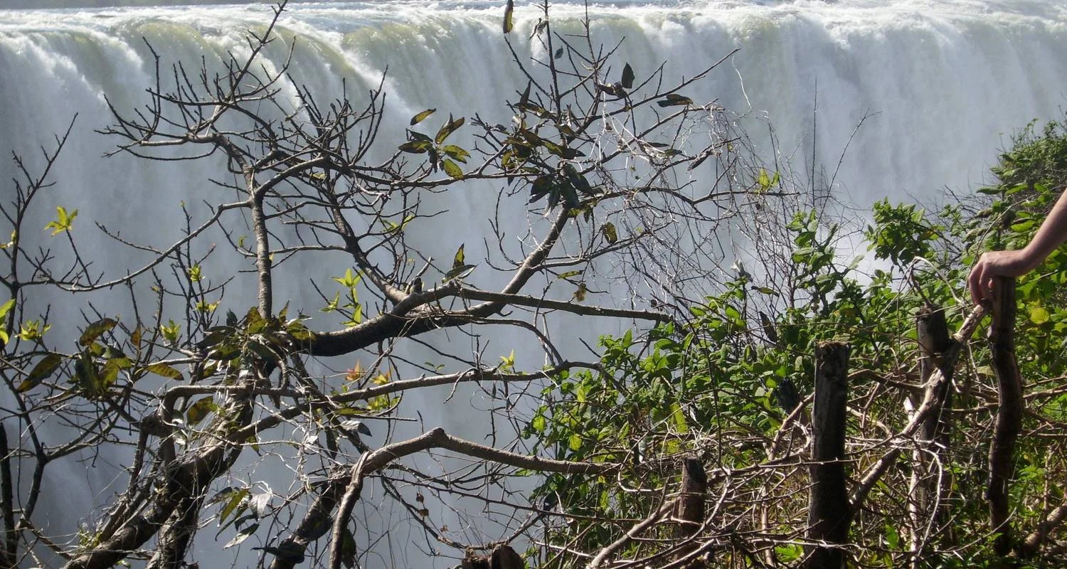 Explore Victoria Falls and Chobe for 5 days with Afro Honeyguide Adventures and discover unforgettable experiences - Photo 2