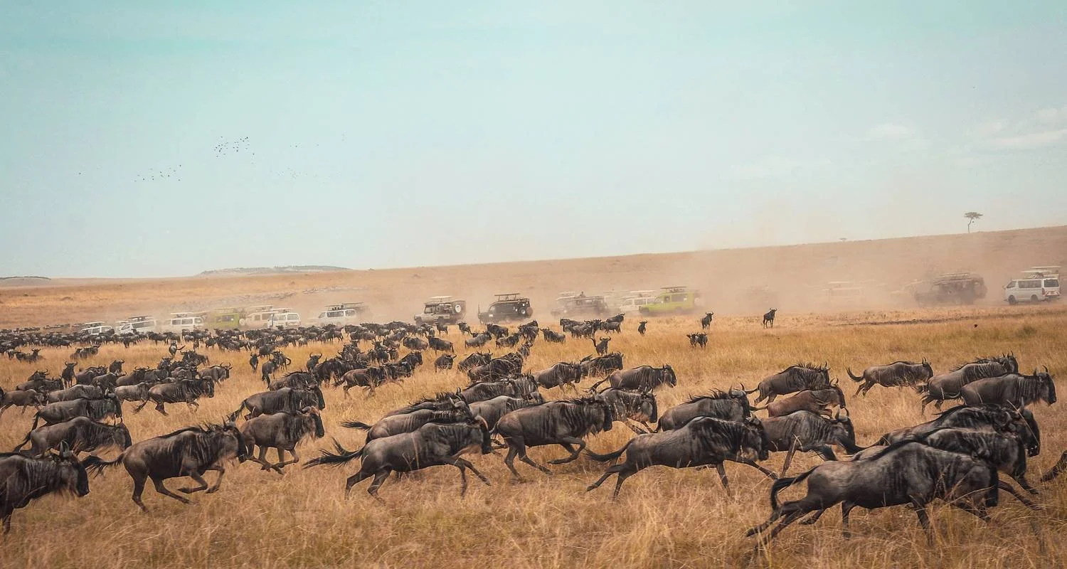 Explore 3-Days luxury safari- Serengeti and Ngorongoro for 3 days with Afrishare Trekking And Safaris and discover unforgettable experiences - Photo 2