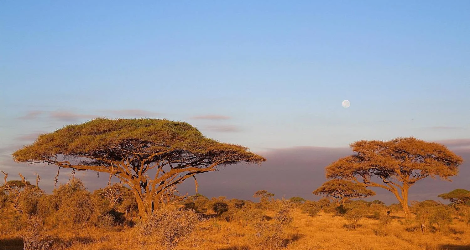 Explore 2 Days Tarangire & Lake Manyara Safari for 2 days with Afrishare Trekking And Safaris and discover unforgettable experiences - Photo 2