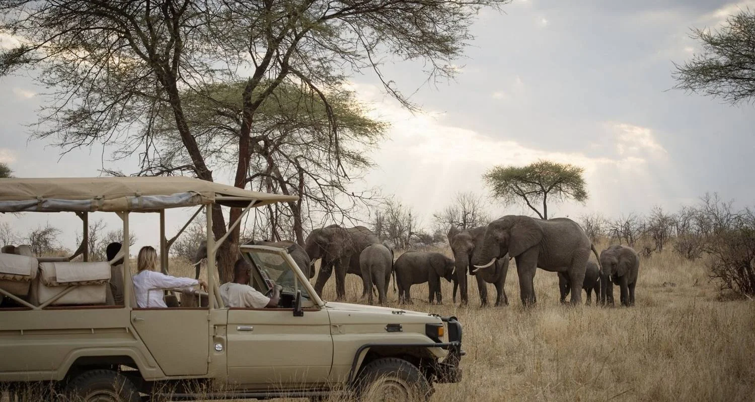 Explore 6 Day Safari Big Five at Selous and Ruaha for 6 days with Afrishare Trekking And Safaris and discover unforgettable experiences - Photo 2