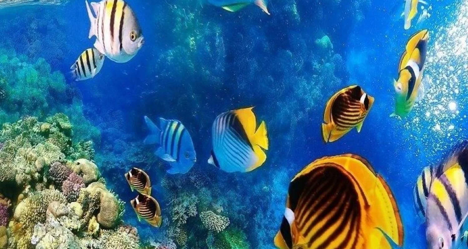 Explore Cairo, Nile Cruise & Hurghada Holiday for 15 days with Agazat Club and discover unforgettable experiences - Photo 2