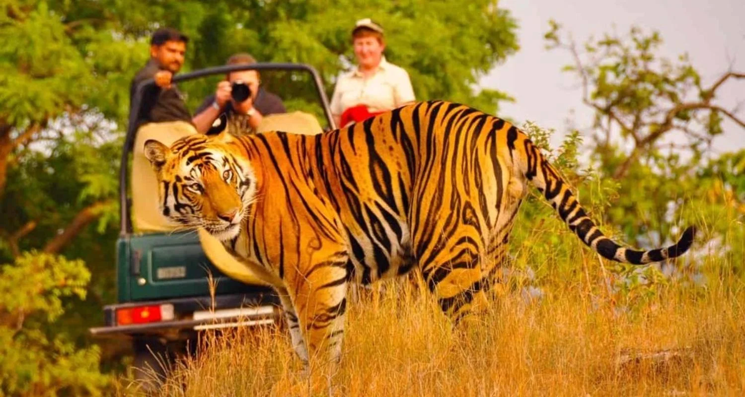 Explore Golden Triangle with Ranthambore Tigers and Taj Mahal Sunset/Sunrise -6 Days for 6 days with Agra Trip and discover unforgettable experiences - Photo 2