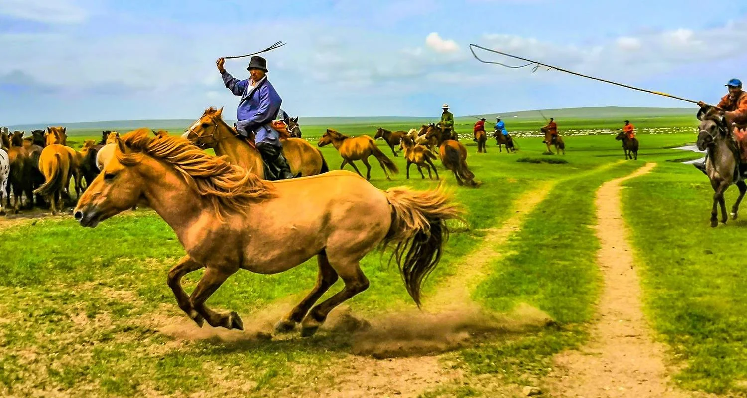 Explore Tailor-Made Naadam Festival Trip, Private Guide and Driver for 5 days with Agate Travel and discover unforgettable experiences - Photo 2
