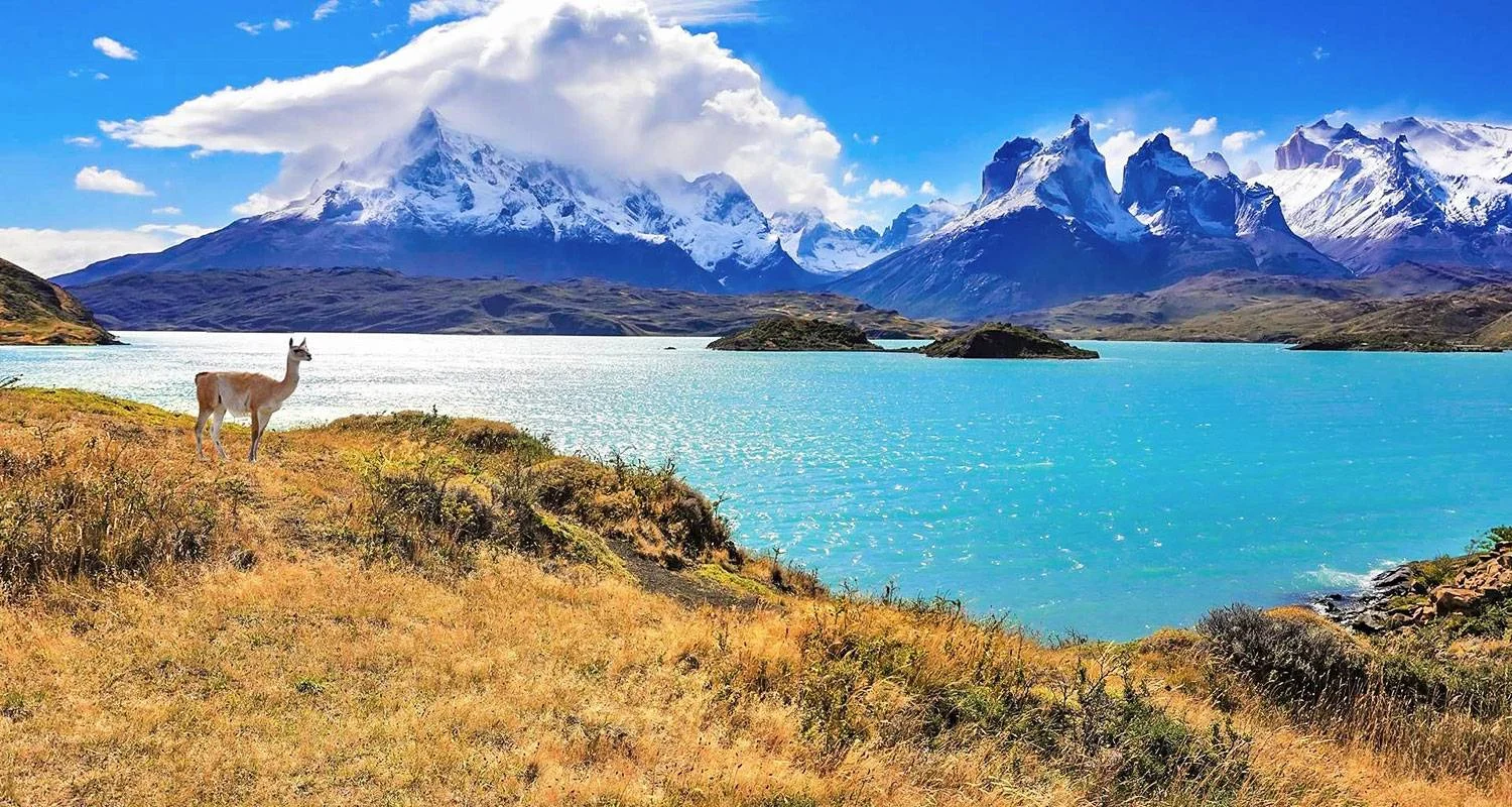 Explore Tailor-Made Chile Trip to Winery & Classic W Trek (Private Guide and Driver) for 11 days with Agate Travel and discover unforgettable experiences - Photo 2